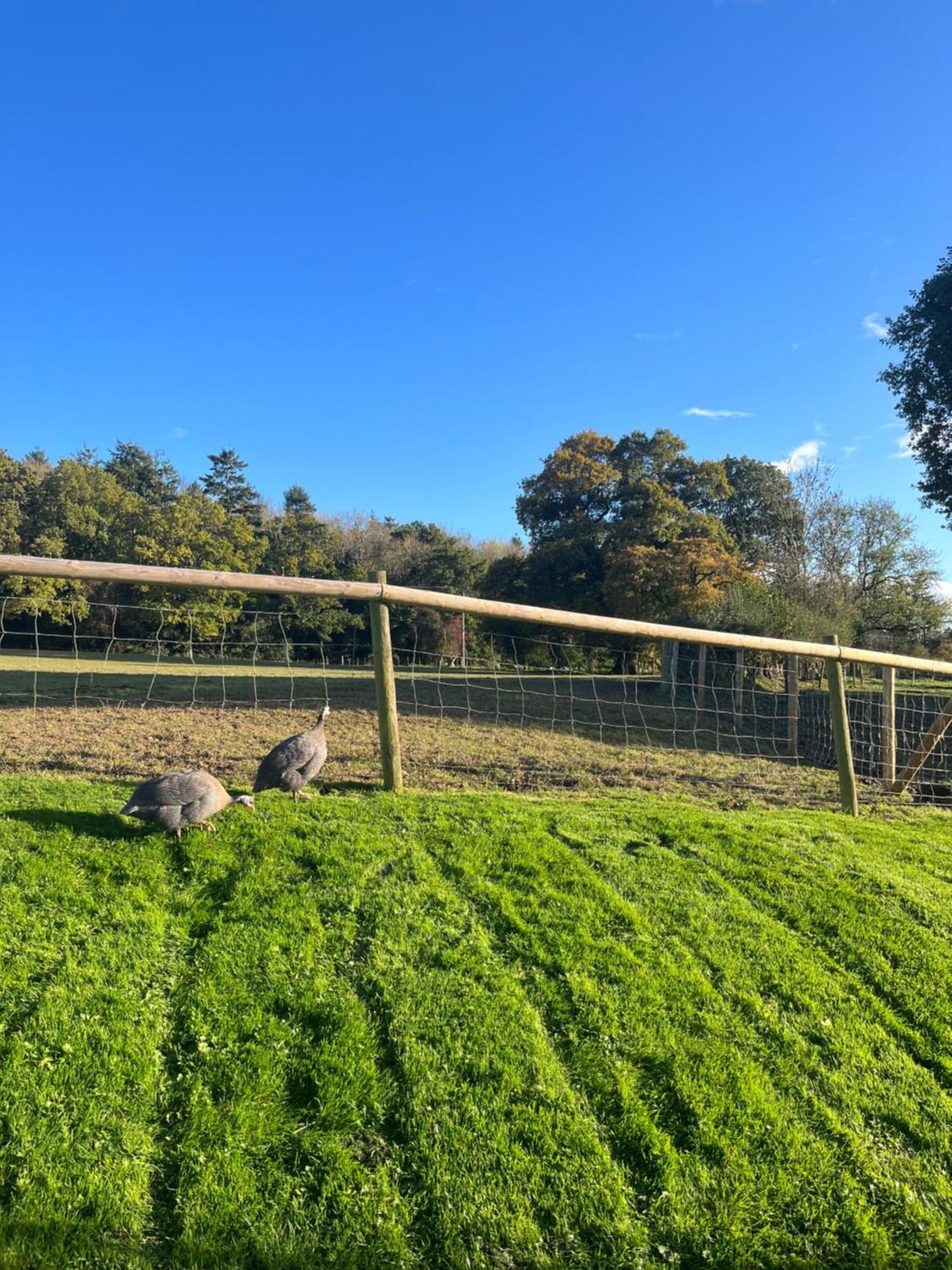 Willa The Old Bull Pen Abergavenny Zewnętrze zdjęcie